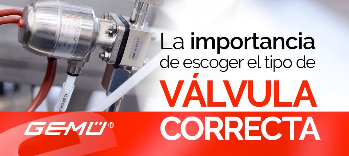 importancia-valvula importancia-valvula
